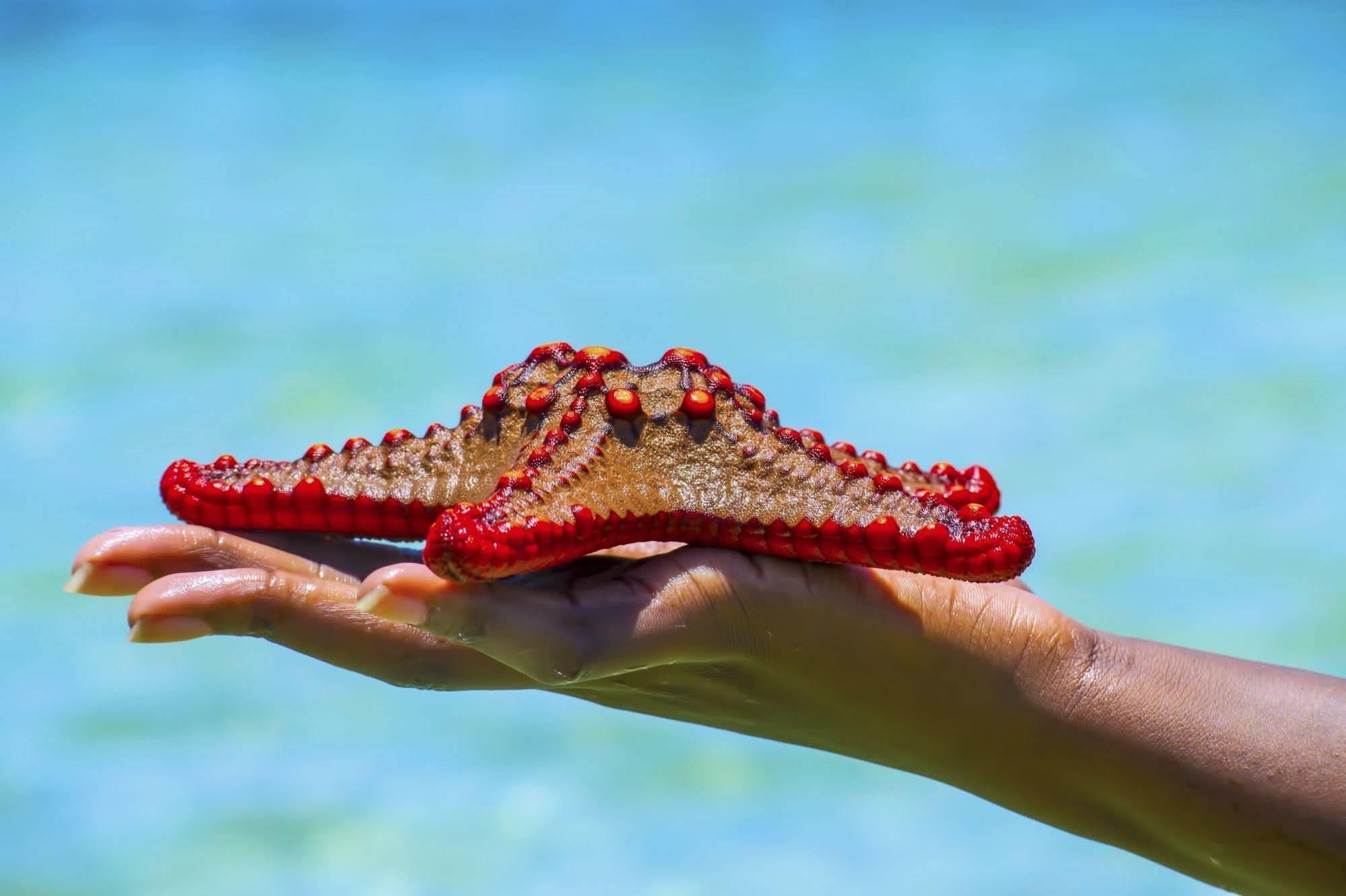 Mombasa Beach Hotel 外观 照片
